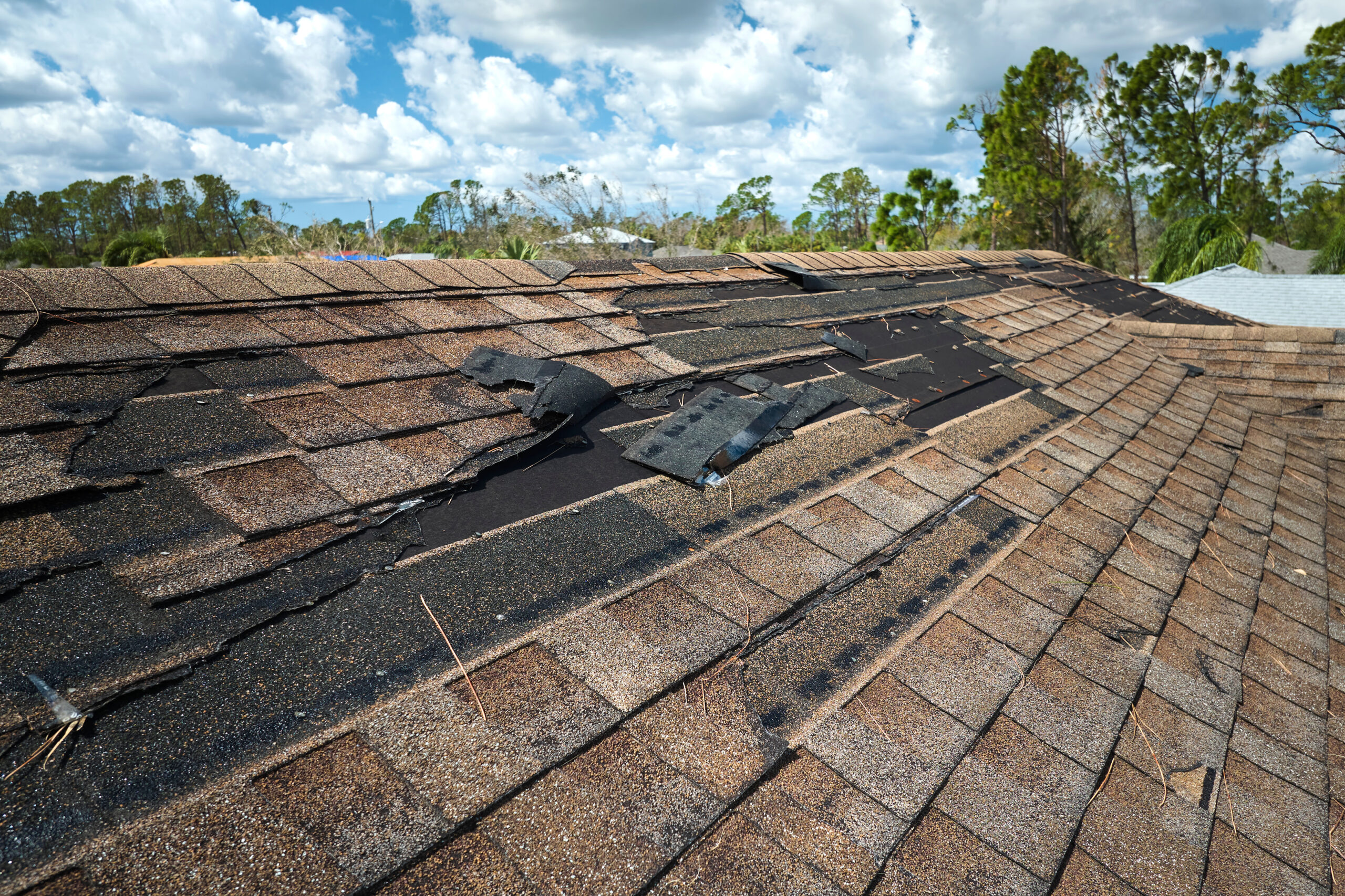 roof repair albuquerque new mexico